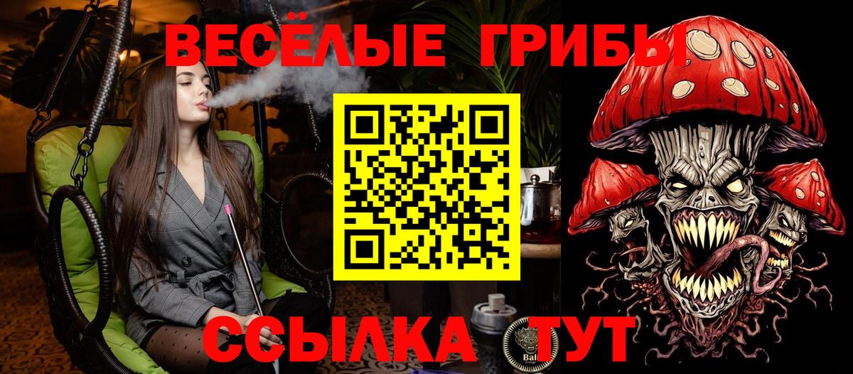 Галлюциногенные грибы прущие грибы Тулун