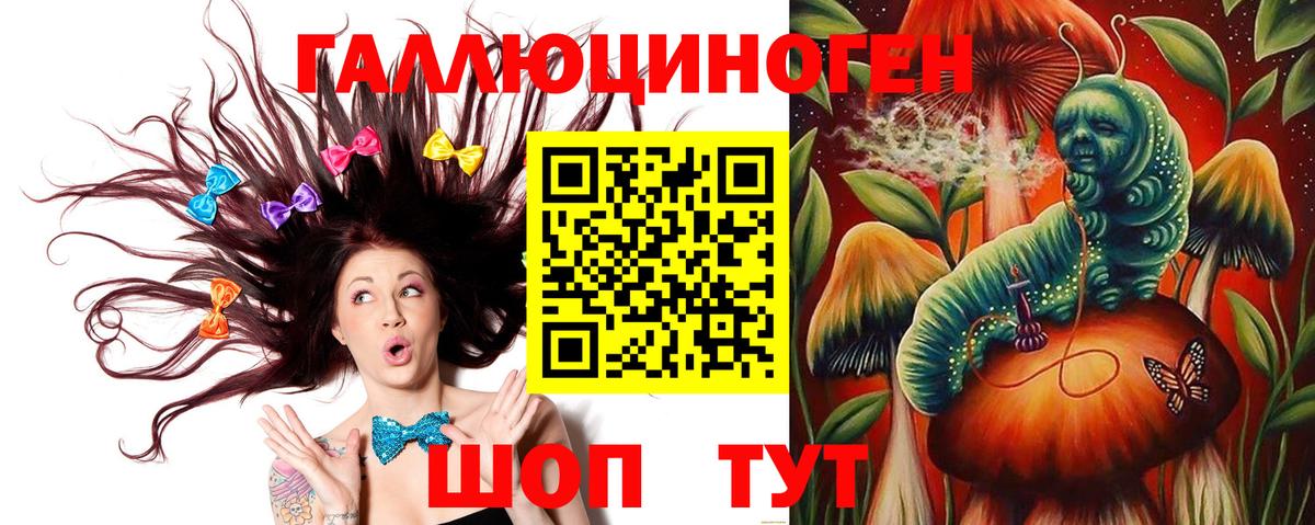 Тулун  Галлюциногенные грибы прущие грибы  сколько стоит  Вход с VPN 